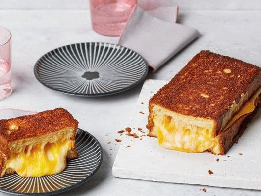 Фото на садот - Гигант сендвич со топло сирење за голема компанија