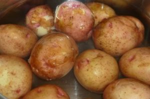 Кокошка со босилек